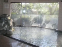 Hotel Wellness Suzukaji 3*
