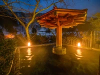 Hotel Kurobe 2*
