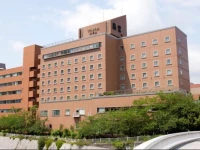 Takarazuka Washington Hotel 3*