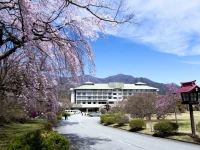 Fuji View Hotel 3*