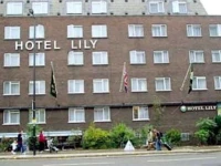 Lily 2*