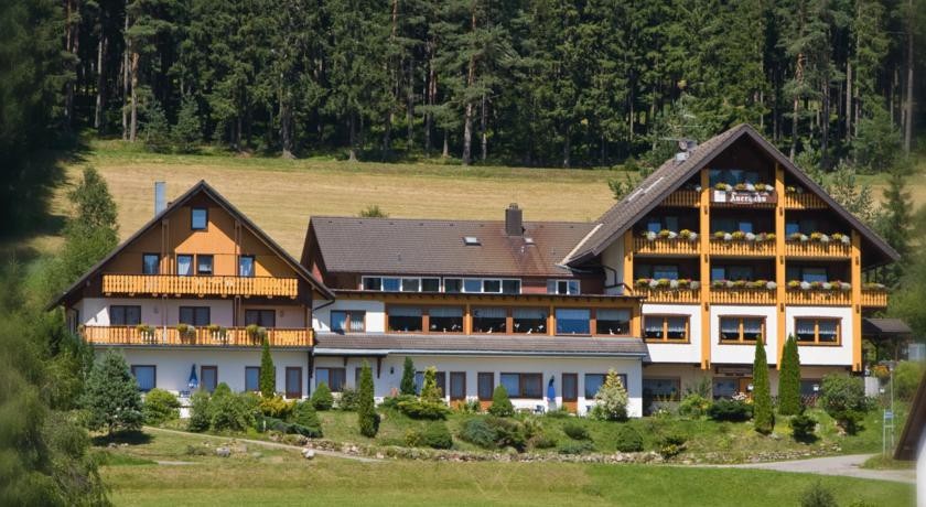 Waldhotel Auerhahn 3*