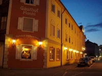 Hotel Plankl 4*