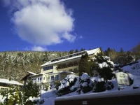 Hotel Rothfuss 4*