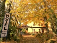 Hotel Weidenau 3*