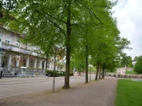Hotel Villa Konigin Luise 3*