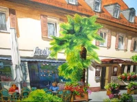 Hotel am Schloss Darmstaedter Hof 3*