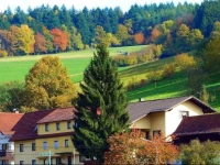 Hotel Gasthof Zur Krone Odenwald-Sterne-Hotel 3*