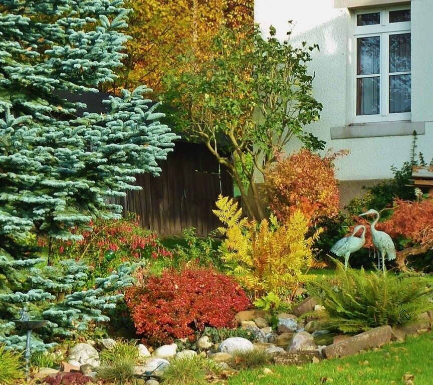 Pension Am Walde 3*