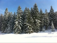 Alpenvilla Berchtesgaden 4*