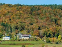 Waldhotel Sonnenberg 3*