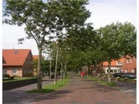 Hotel Rummeni 2*
