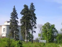 Волга санаторий Самара 