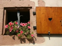 Landpension Haus Ruth 1*