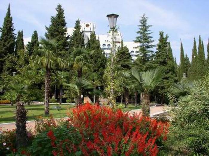 Отель Спартак 