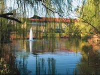 Steigenberger Hotel Deidesheim 4*