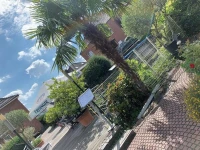 Hotel Krasemann 3*