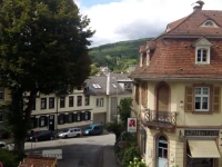 Hotel Zum Feldberg 3*