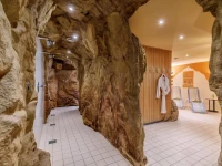 Waldhotel Vogtland 3*