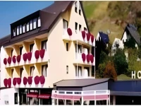 Flair Hotel am Rosenhugel 3*