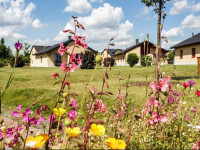 Seepark Auenhain