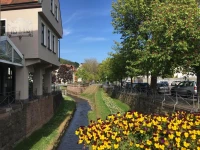 Hotel Merll-Rieff 1*
