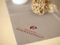 Seehotel Schwanenhof 4*