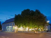Hotel Blauer Karpfen 3*