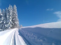 Hotel Landhaus Staufenblick 3*