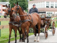 Hotelferienanlage Friedrichsbrunn 3*