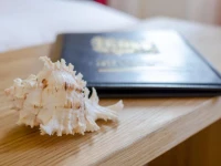 Strandhotel Heringsdorf 4*