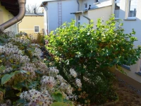 Pension und Gastehaus Grothe 1*