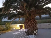 Giosifaki 2*