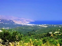 Elia 3*
