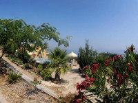 Ionian Eye Studios