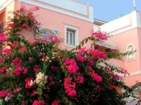 Villa Rodanthos 3*