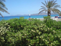 Hotel Petras Beach