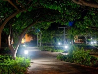 Dolphin Apartments 2*
