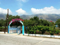 Dolphin Apartments