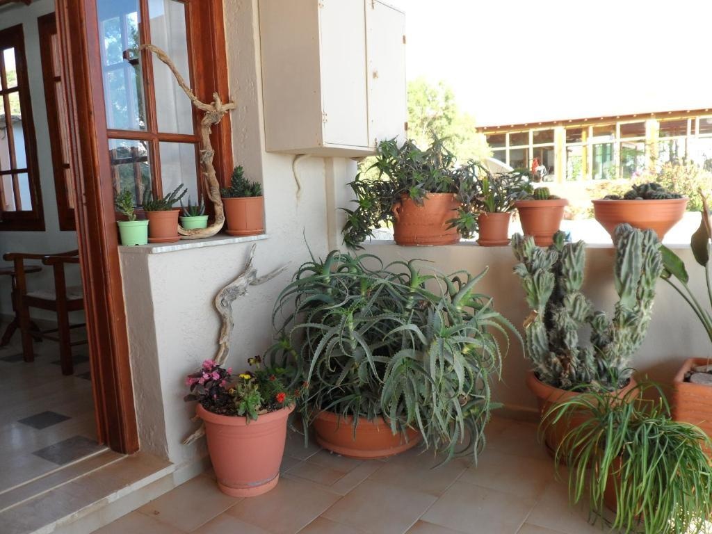 Flisvos Rooms 2*