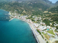 Livikon