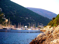Aristotelis