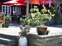 Danhostel Boderne 3*