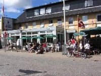 Hotel Vildbjerg 3*