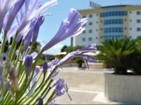 Edra Palace Hotel 4*