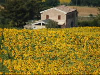 Ca Del Cardo