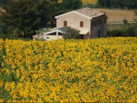 Ca Del Cardo 3*
