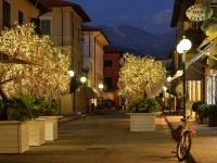 Villa Roma Imperiale 4*