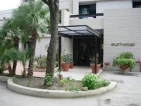 Aurhotel 3*