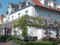 Hotel Brull 3*